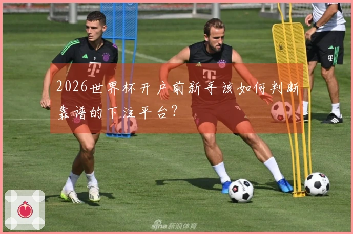 2026世界杯开户前新手该如何判断靠谱的下注平台？