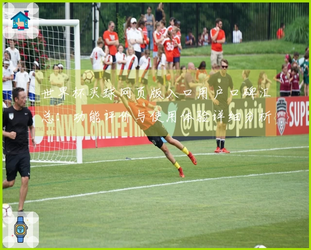 世界杯买球网页版入口用户口碑汇总：功能评价与使用体验详细分析