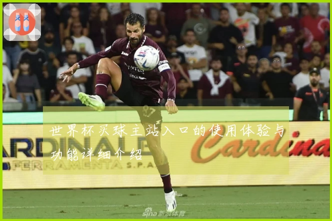 世界杯买球主站入口的使用体验与功能详细介绍