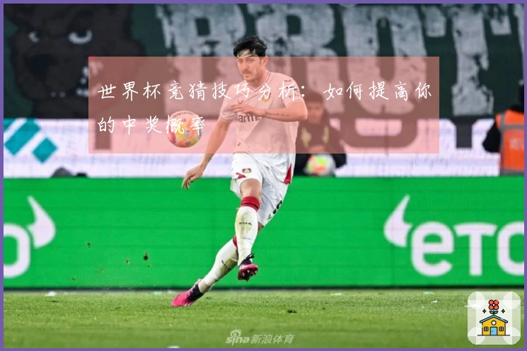 世界杯竞猜技巧分析：如何提高你的中奖概率
