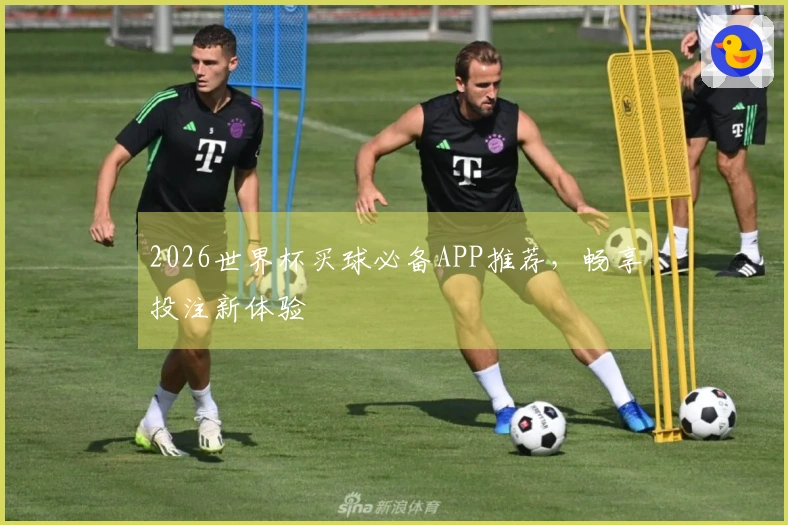 2026世界杯买球必备APP推荐，畅享投注新体验