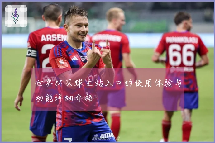 世界杯买球主站入口的使用体验与功能详细介绍