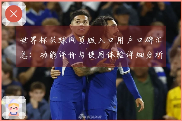 世界杯买球网页版入口用户口碑汇总：功能评价与使用体验详细分析