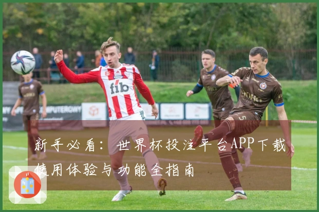 新手必看：世界杯投注平台APP下载使用体验与功能全指南