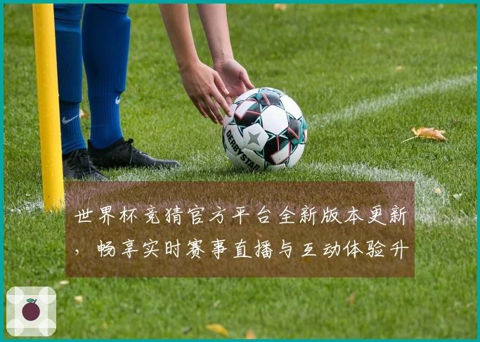 世界杯竞猜官方平台全新版本更新，畅享实时赛事直播与互动体验升级