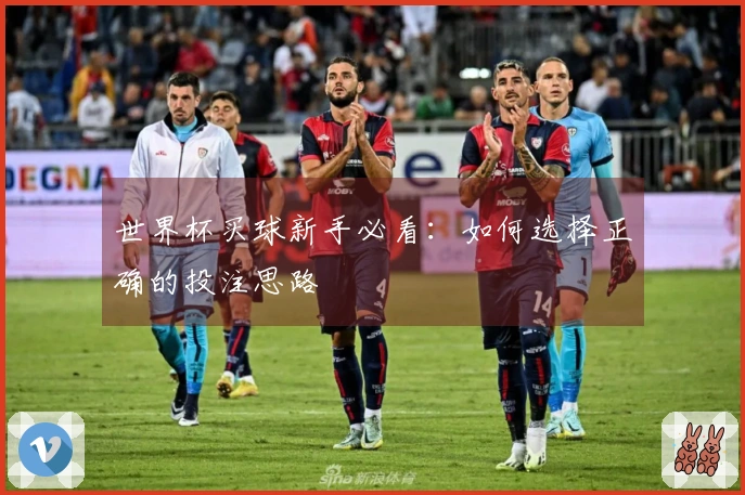 世界杯买球新手必看：如何选择正确的投注思路
