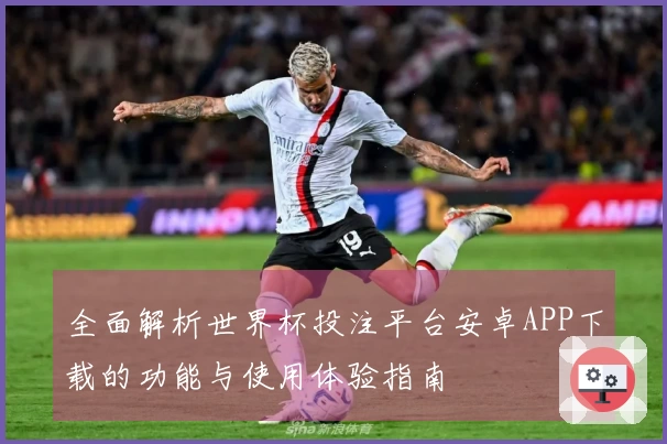 全面解析世界杯投注平台安卓APP下载的功能与使用体验指南