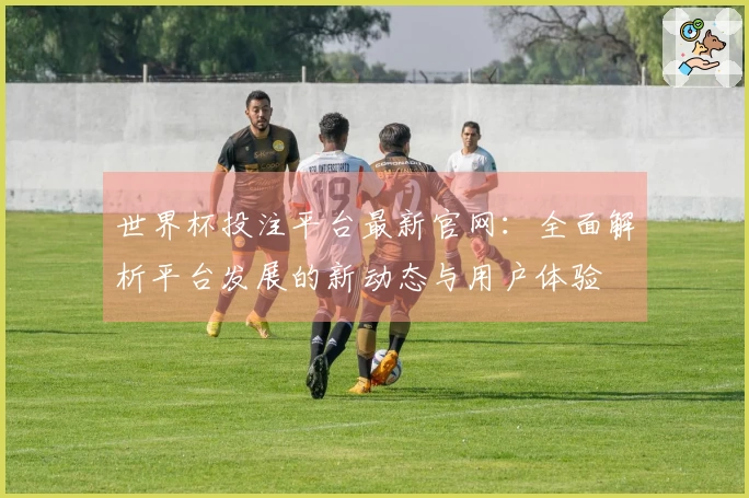 世界杯投注平台最新官网：全面解析平台发展的新动态与用户体验