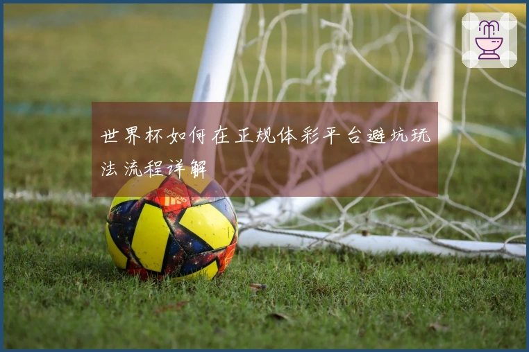 世界杯如何在正规体彩平台避坑玩法流程详解
