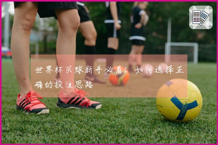 世界杯买球新手必看:如何选择正确的投注思路