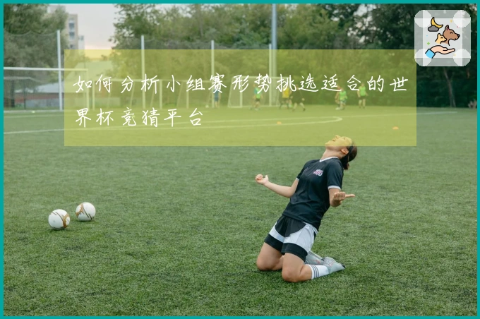 如何分析小组赛形势挑选适合的世界杯竞猜平台