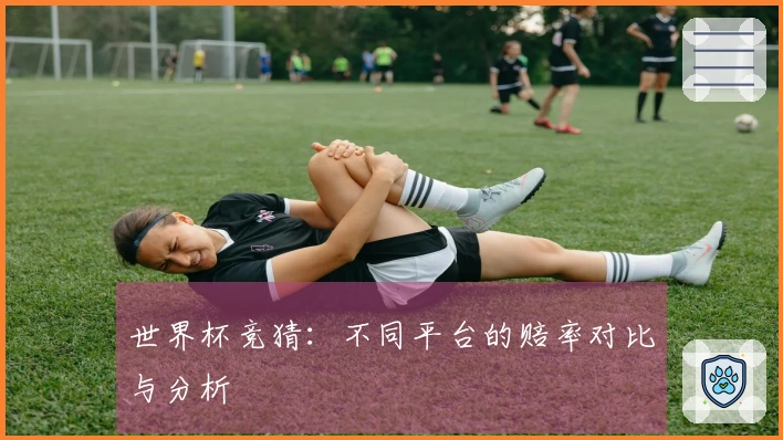世界杯竞猜：不同平台的赔率对比与分析