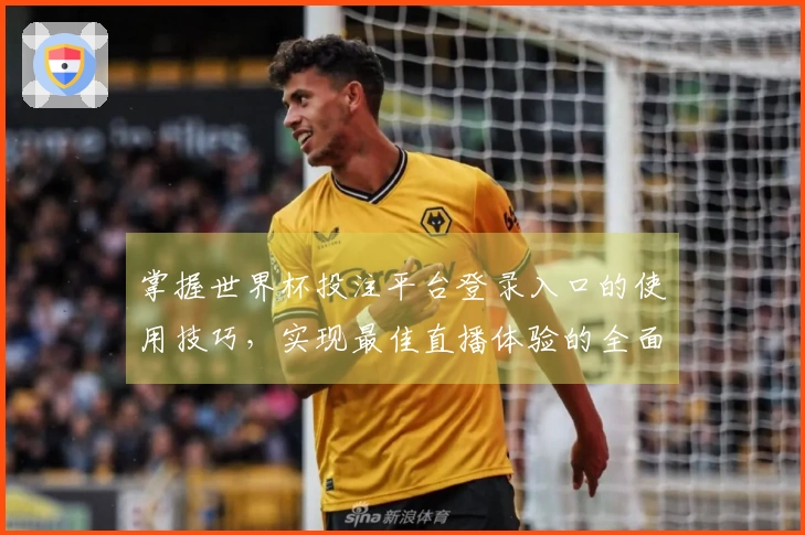 掌握世界杯投注平台登录入口的使用技巧，实现最佳直播体验的全面指南