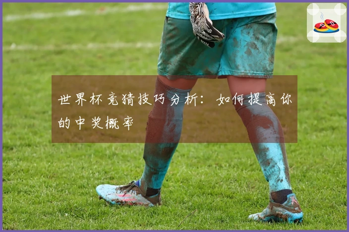 世界杯竞猜技巧分析:如何提高你的中奖概率